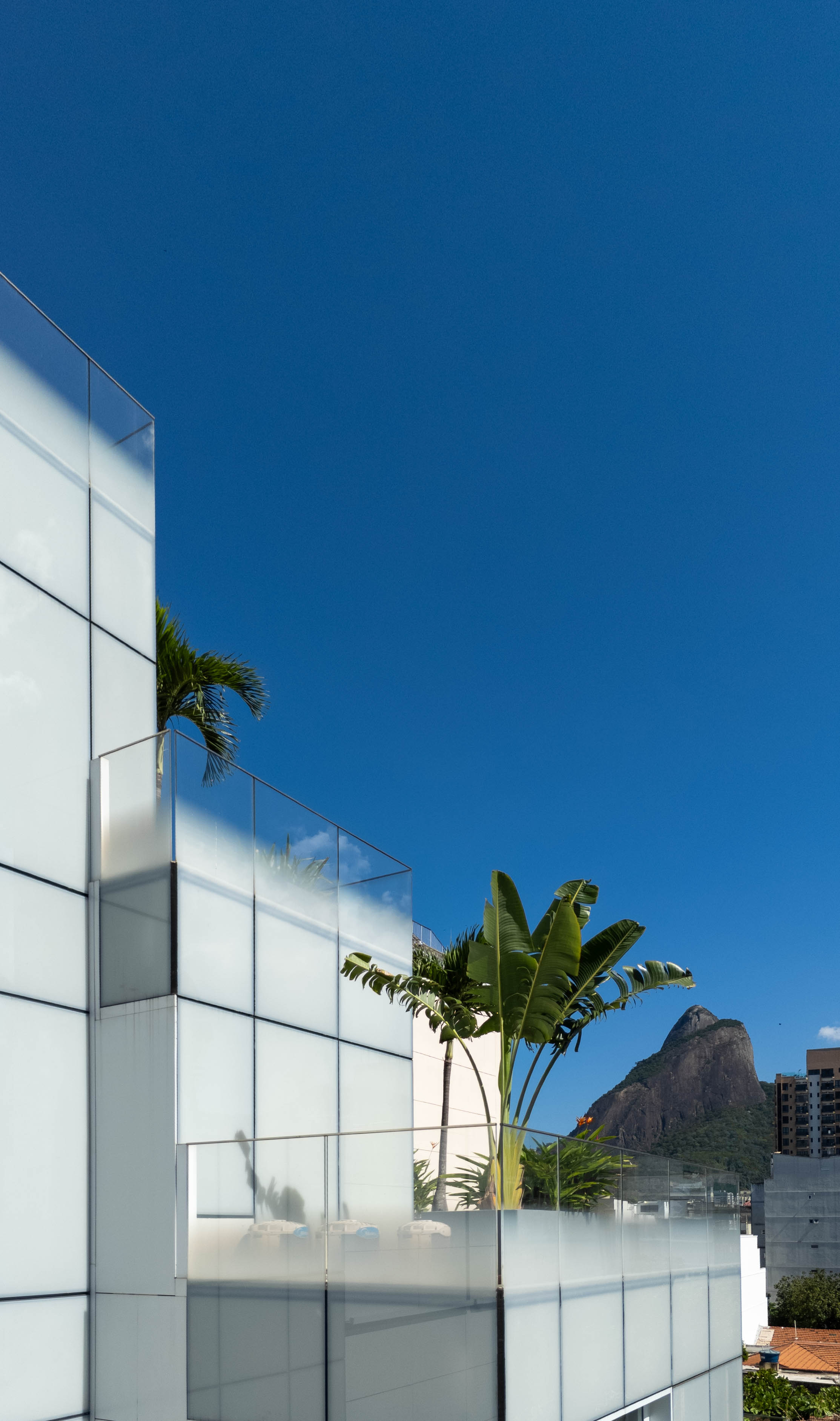 Arquitetura do Projeto